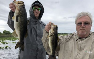 High Pressure Bass Fishing in Kissimmee, Florida with Local Experts