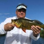 Alligator Alley 41 thumbnail