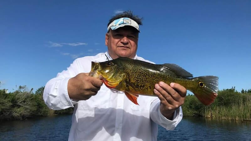 Alligator Alley 41 photo