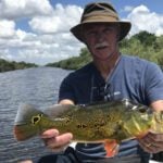 Markham Park thumbnail