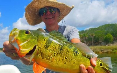 Deep South Peacock Bass Fishing Charters in Miami, FL