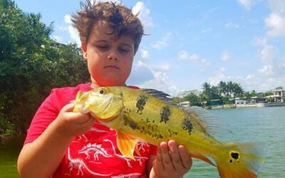 Peacock Bass Fishing Hunt in Miami, Florida with Local Expert