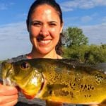 Alligator Alley 41 thumbnail