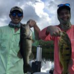 Holiday Park Everglades thumbnail