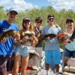 Holiday Park Everglades thumbnail