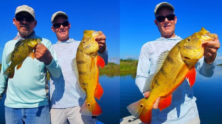 Family Vacation Exotic Fishing