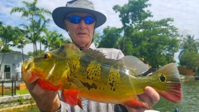 Go Pro Bass Fishing 3