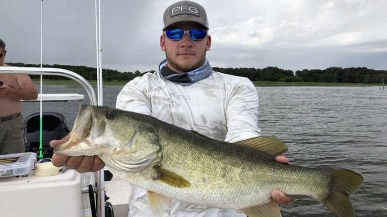 Summer Big Bass Fishing