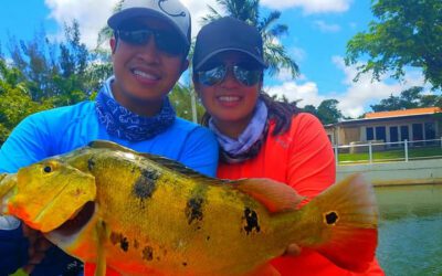 Travel Peacock Bass Fishing Adventure in Miami Florida