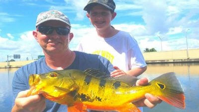 Blue Lagoon Fishing Trip While Miami Peacock Bass Fishing