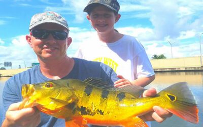 Blue Lagoon Fishing Trip While Miami Peacock Bass Fishing