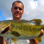 Lake Hartwell thumbnail