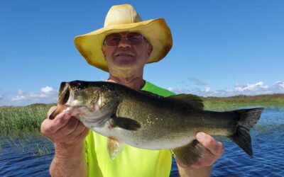 Artificial Lake Okeechobee Fishing for Florida Largemouth Bass