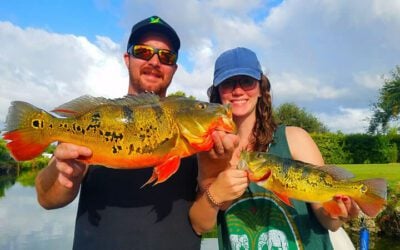 Insane Florida Bass Fishing Charter for Peacock Bass in Miami Florida