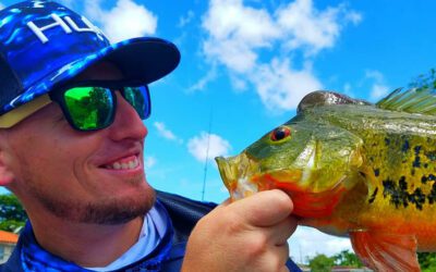 First time Peacock Bass Anglers