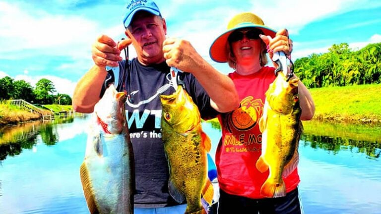 October Palm Beach Fishing Report for Florida Peacock Bass 4 October Palm Beach Fishing