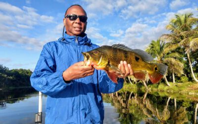 Naples Bass Fishing November Report with Captain Mark Rogers