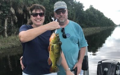 November Naples Bass Fishing for Florida Peacock Bass