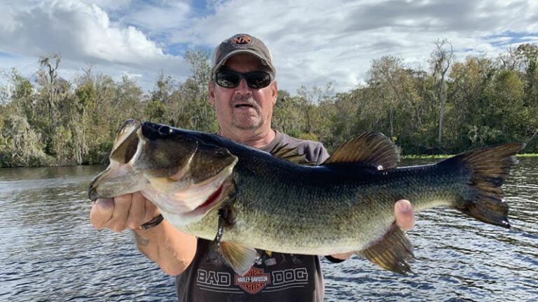 Sandbar North Florida Fishing for Florida Bass with Local Experts 11 Sandbar North Florida Fishing Guides