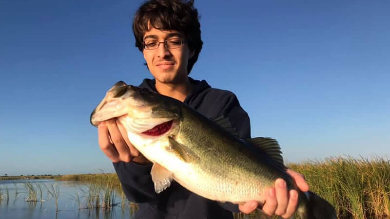 Lake Istokpoga photo