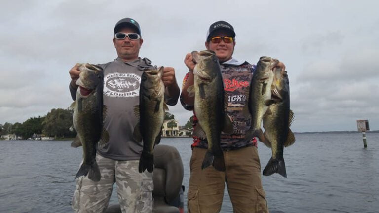 December Lake Tarpon Fishing Trips Near Tampa, Florida 28 Lake Tarpon Fl Pictures - December Lake Tarpon Fishing