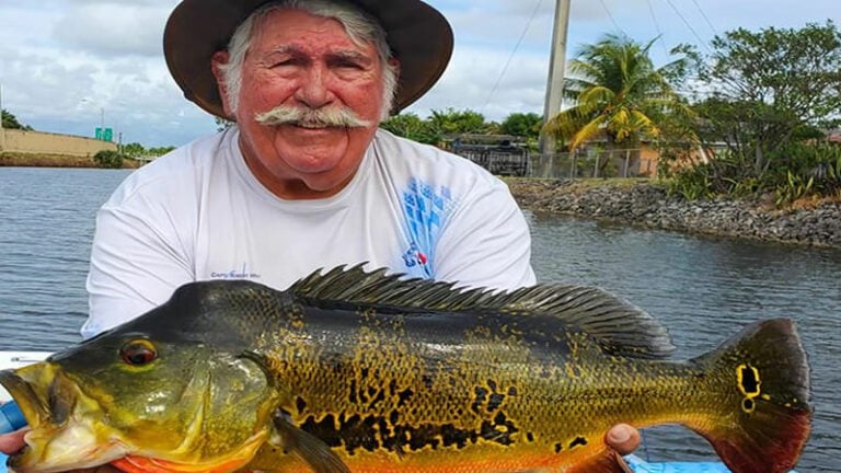 December Miami Lakes Fishing Report for Florida Peacock Bass 11 December Miami Airport Lakes Fishing