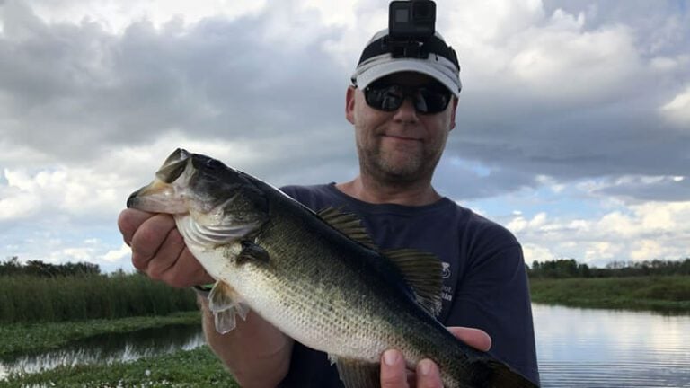 Productive Kissimmee Bass Fishing Charters in Central Florida 32 Productive Kissimmee Bass Fishing