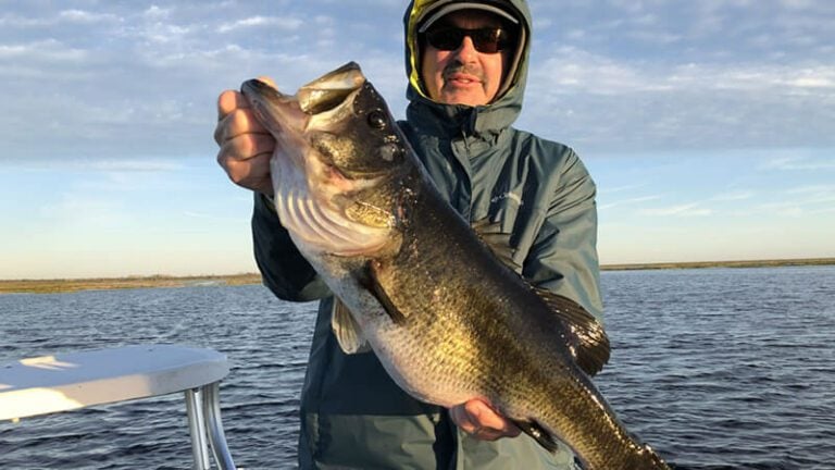 February Kenansville Bass Fishing Report for Trophy Largemouth Bass 5 Top Lure for Winter Bass Fishing