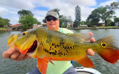 Miami Fishing Guides