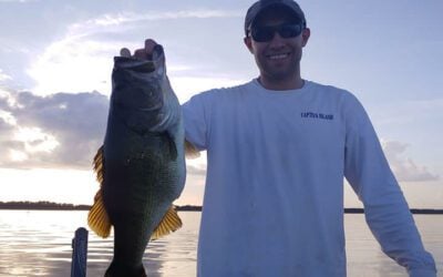 Peacock Bass Fishing In Florida: Local Travel Guide