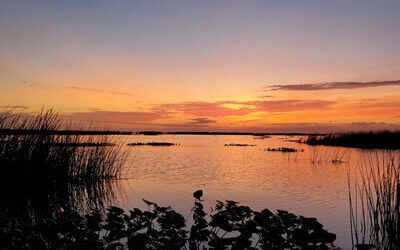 Lake Okeechobee
