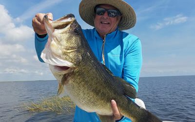 Largemouth Bass