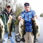 Harris Chain of Lakes thumbnail