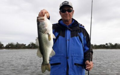 Fishing Reports by Lake