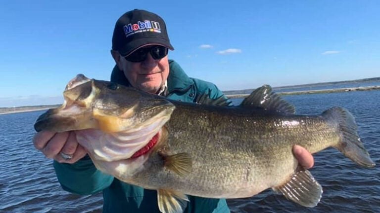 March Rodman Fishing Trips for Trophy Largemouth Bass 7 March Rodman Reservoir Florida Fishing Trips