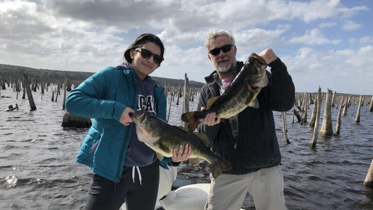 February North Florida Fishing Report for Florida Largemouth Bass 7 Rodman Reservoir Bass Fishing During Drawdown - bass fishing excursions