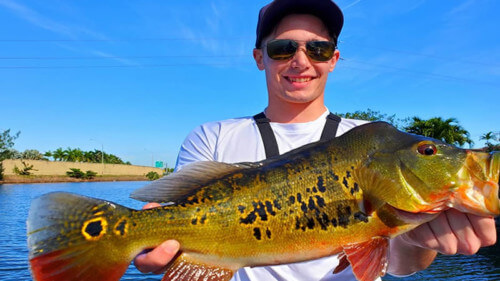 February Airport Lakes Bass Fishing