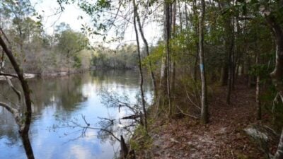 Bass Fishing in Rivers