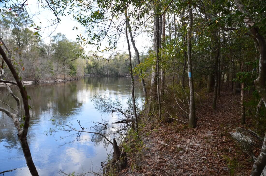 Yellow River Fl Adventures Embrace Nature's Tranquil Oasis