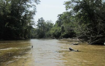Escambia River