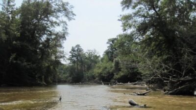 Escambia River