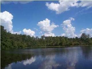 Lake Bryant