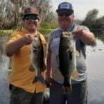 Harris Chain of Lakes thumbnail