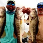 Harris Chain of Lakes thumbnail