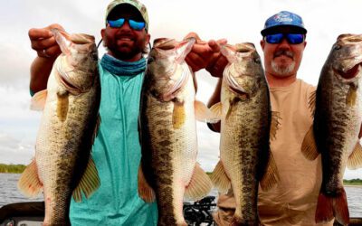 Harris Chain Bass Fishing Guide Capt Steve Niemoeller