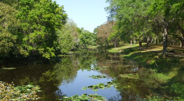 Sawgrass Lake photo