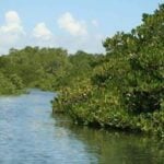 Lake Hamilton thumbnail