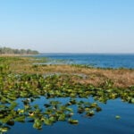 Orange Lake thumbnail