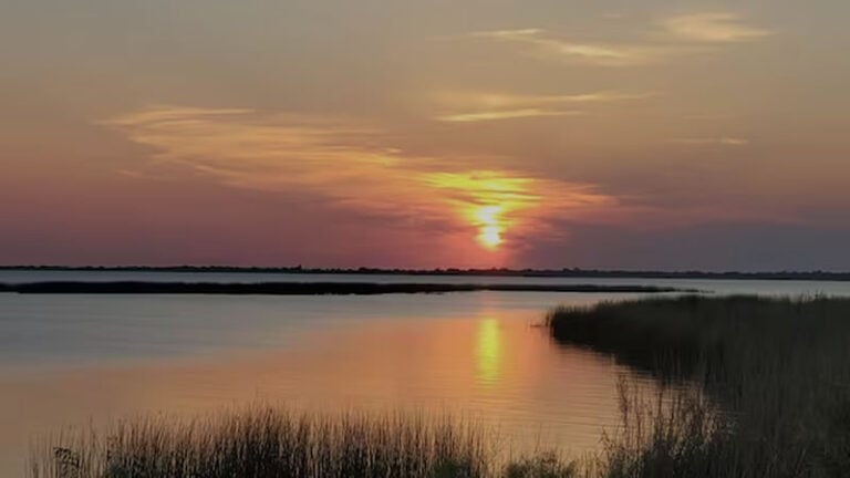 Winter Garden Florida