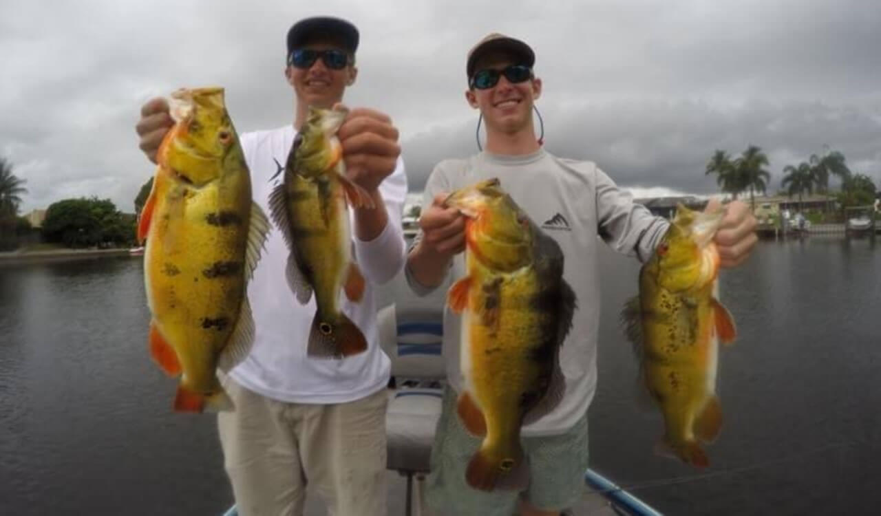 Peacock bass fishing outside Miami